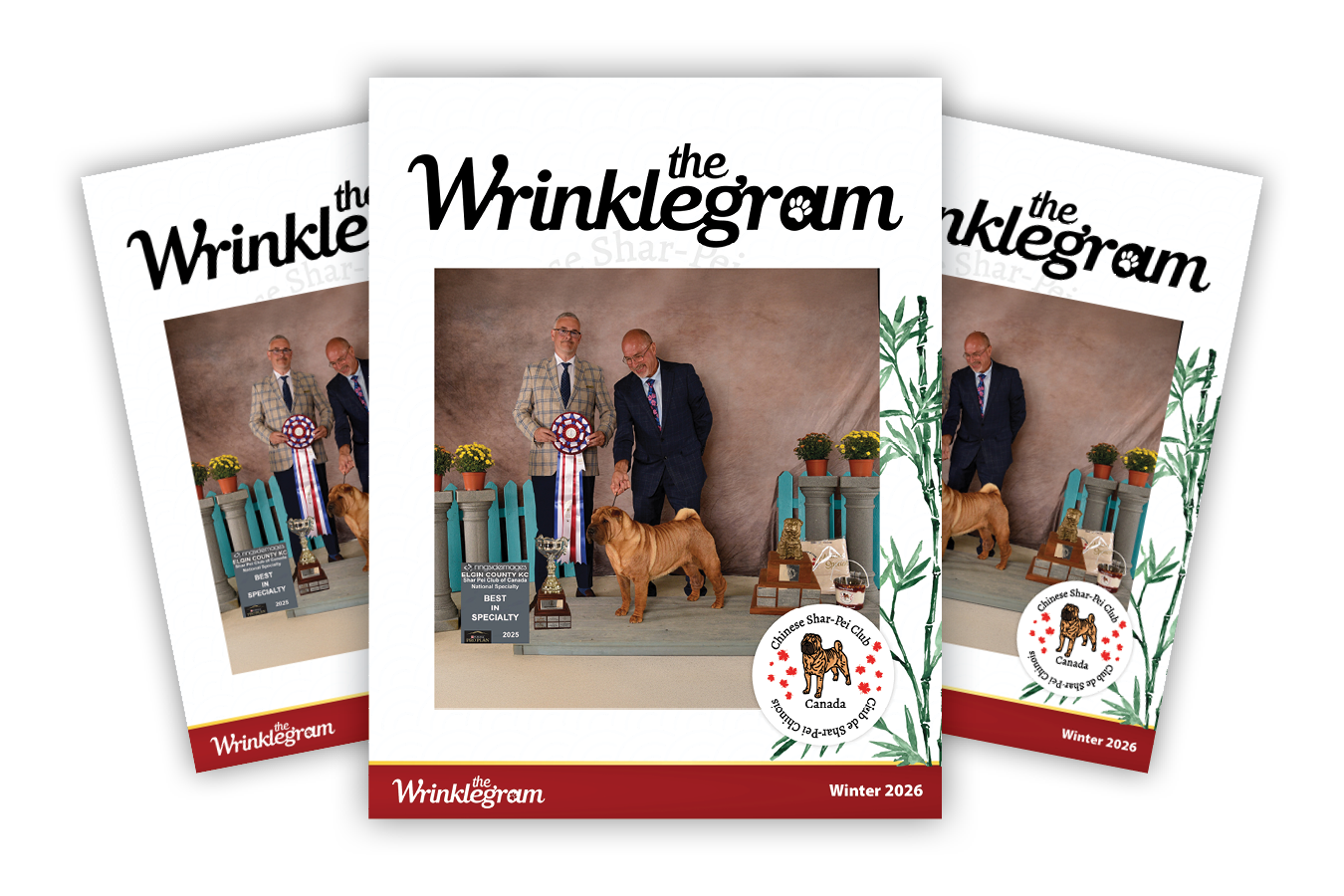 Wrinklegram Winter 2026 Cover